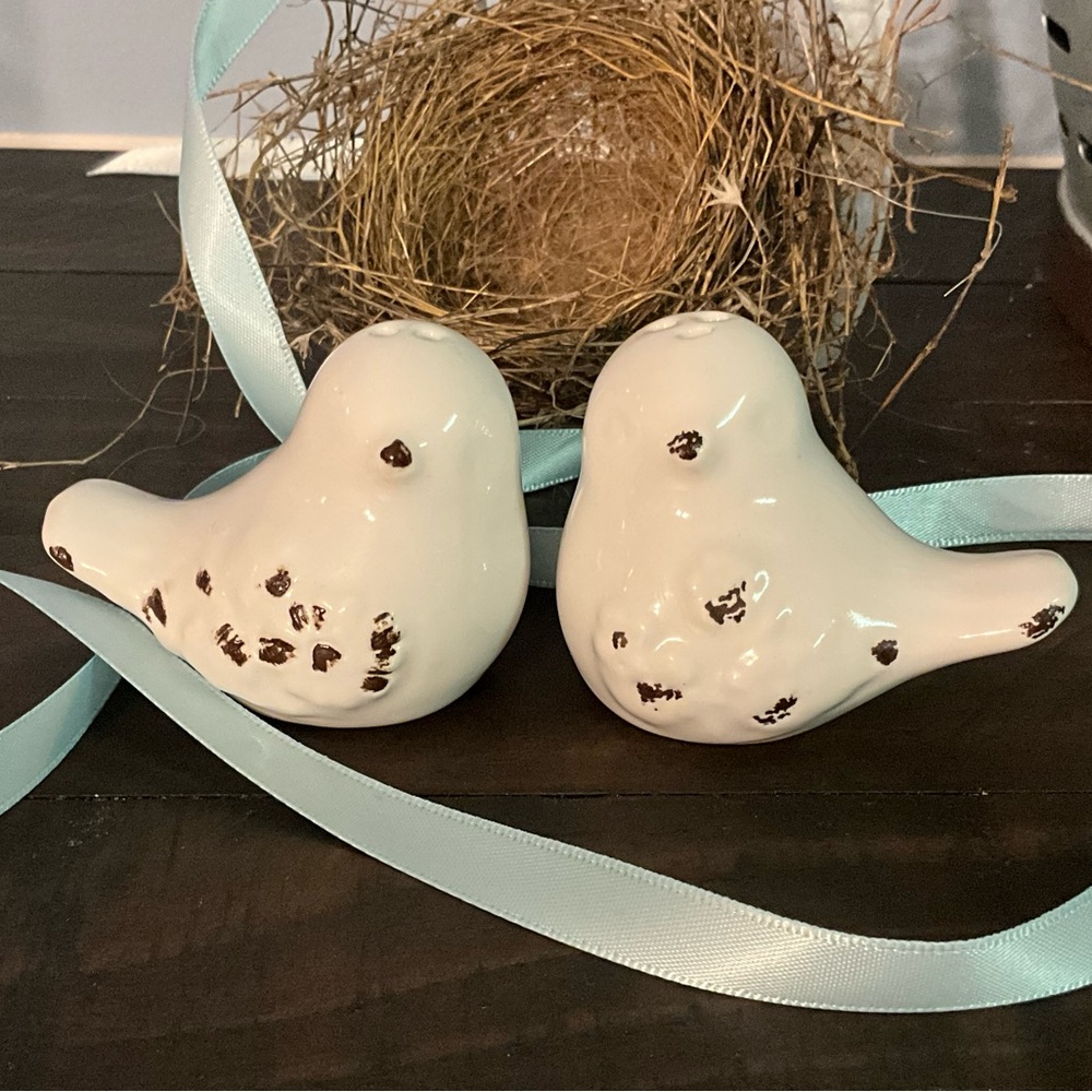 NWT Set Bird S&P Shakers Salt and Pepper Chippy Birds Rustic Ceramic Birds